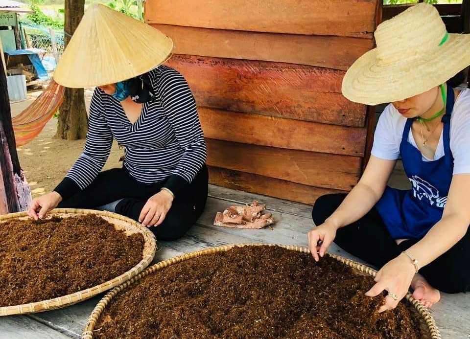 nhân công đang làm sạch kiến vàng 