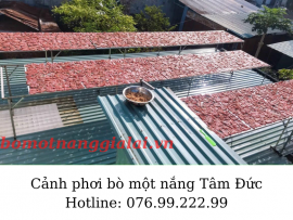 Lắp đặt dàn phơi siêu khủng cho việc phơi bò một nắng tại Krong Pa – Gia Lai