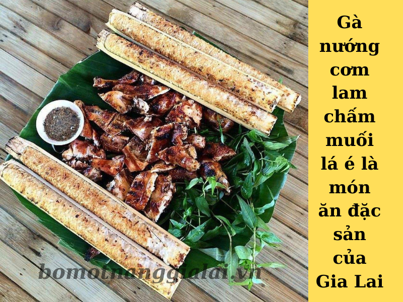 gà nướng cơm lam Gia Lai