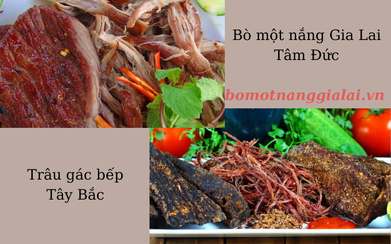 so sánh giữa bò một nắng Tây Nguyên và Trâu gác bếp Tây Bắc